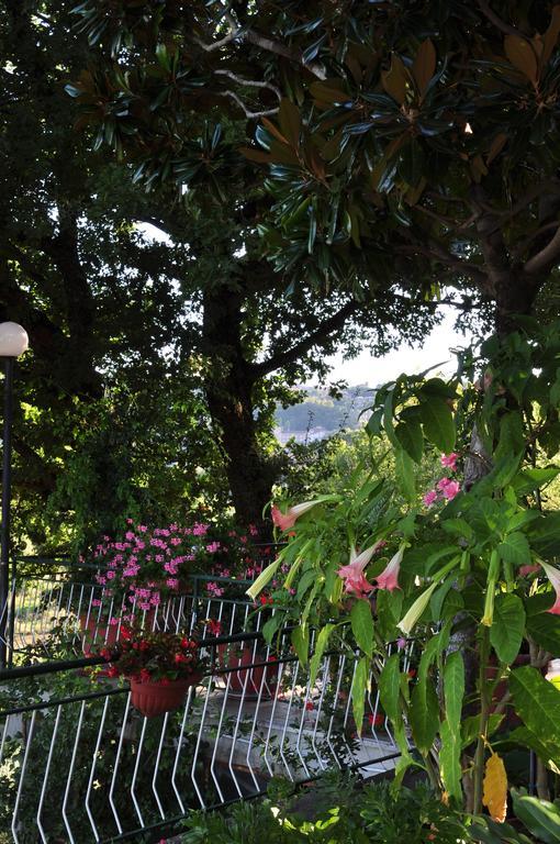 Hotel Firenze Chianciano Terme Rum bild