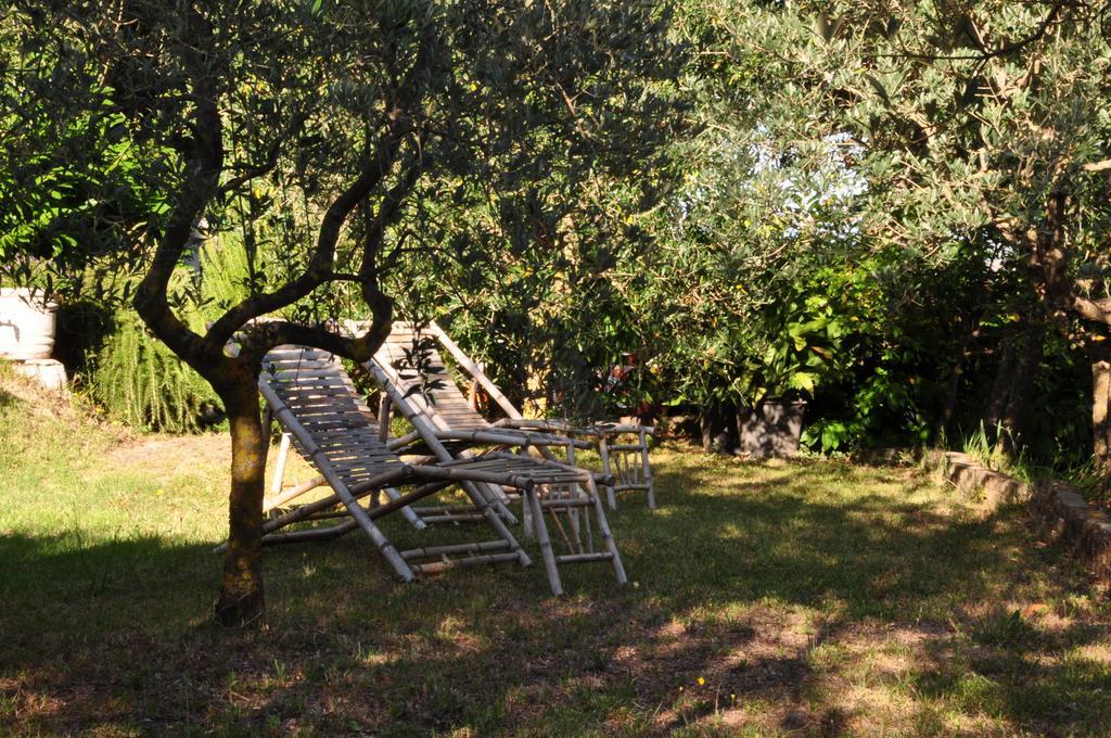 Hotel Firenze Chianciano Terme Exteriör bild
